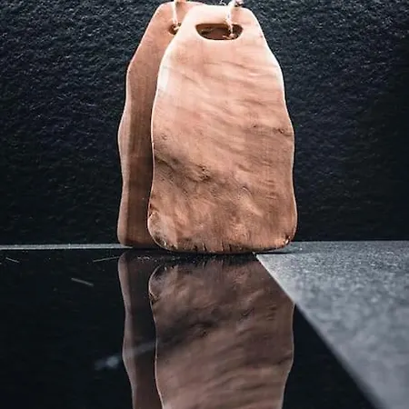 Casa Lumira Luxury Ski-in Ski-out Appartement *