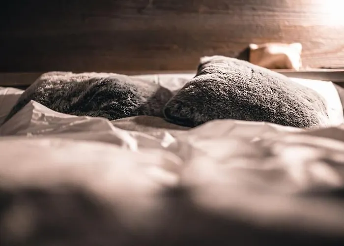 Casa Lumira Luxury Ski-in Ski-out ברויל-קרוויניה